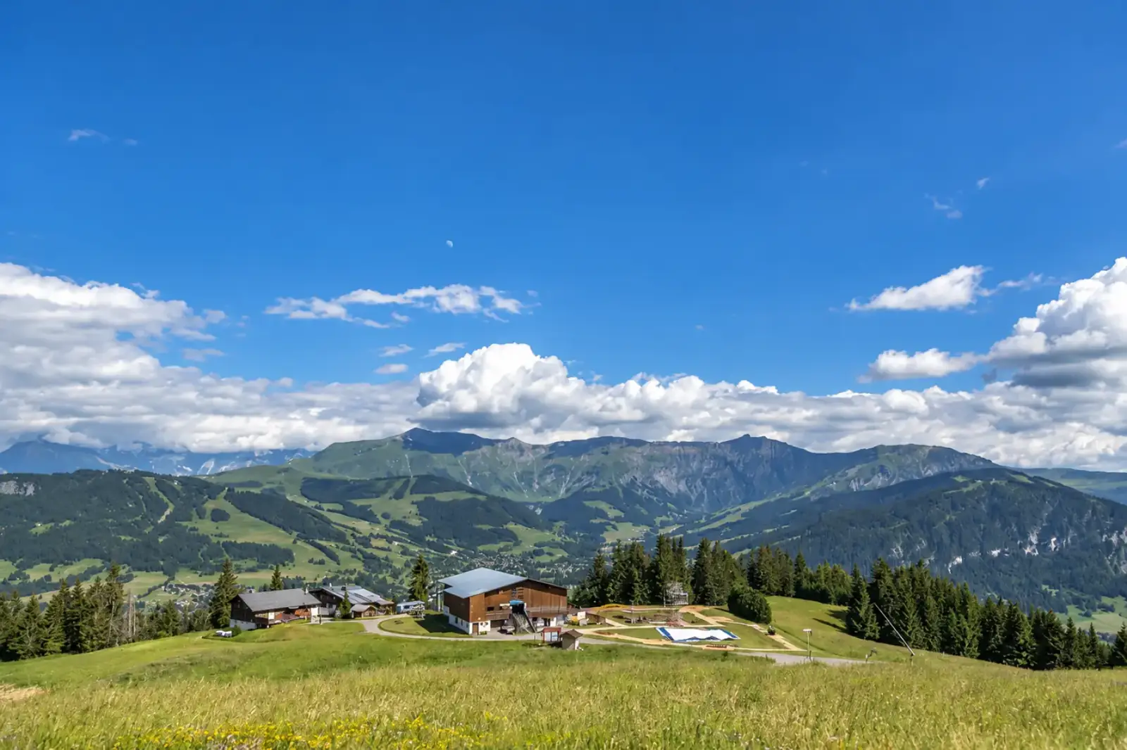 Alpine meadow and mountain views